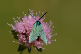 un jour d'été...