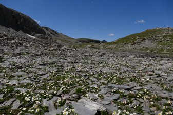 Un coin de Paradis